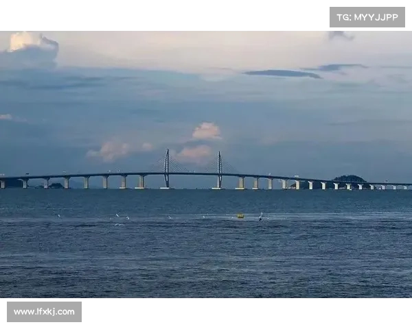浙江队旧将顾斌以自由身加盟港超升班马东区队助力新赛季目标