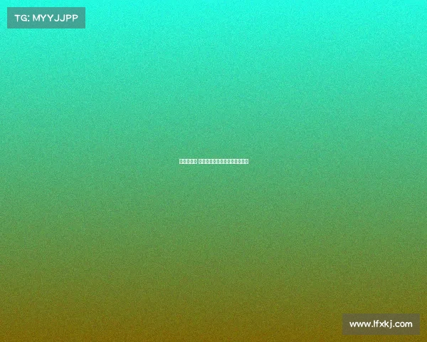 新赛季来临 这面盾牌为我们揭开了全新篇章