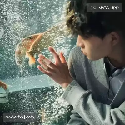 鲍柳泓